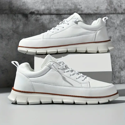 Bari Low Top Sneakers